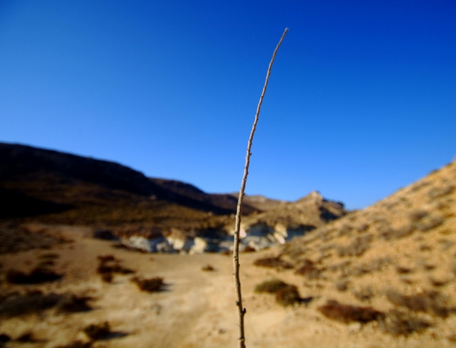 Conoce el desierto de Almeria.jpg